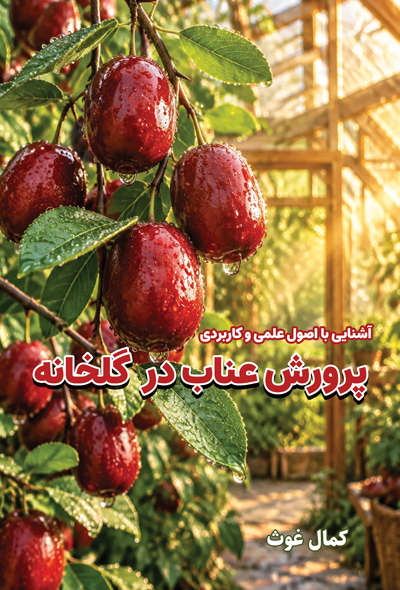 آشنایی با اصول علمی و کاربردی پرورش عناب در گلخانه